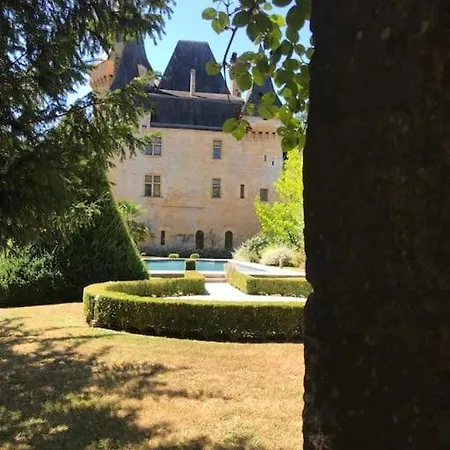 Chateau De Clerans Сен-Леон-сюр-Везер