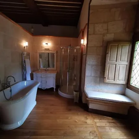 Chateau De Clerans Вилла Сен-Леон-сюр-Везер