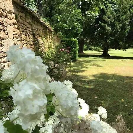 Chateau De Clerans Вилла Сен-Леон-сюр-Везер