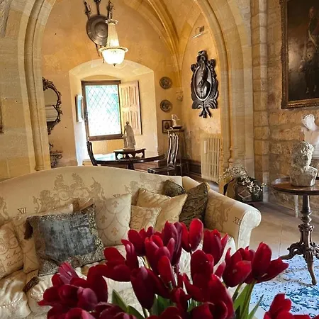 Вилла Chateau De Clerans *